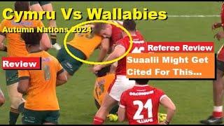 Review: Wales VS Wallabies Autumn Nations 2024 Reactions Analysis & Recap. Suaalii in trouble.