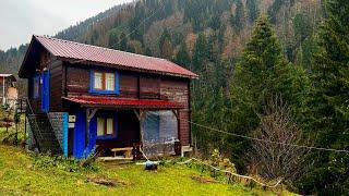 Life in the villages of northern Turkey | A rainstorm hit while walking in the village!