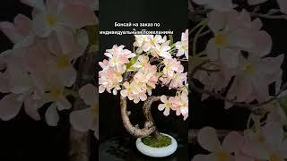 #озеленение #сакура #тренд #bonsai #стиль #япония #интерьер #дизайнинтерьера #flowers #видео #мода