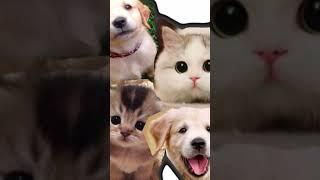 The simple SECRET art technique to make characters cuter that everyone can do!