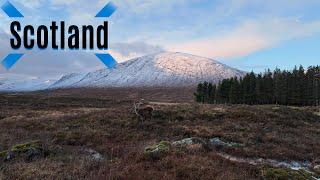 Scottish Highlands  | 4k Scenic Relaxation Film