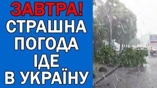 ДОЩІ ЛИТИМУТЬ ЛИШЕ У..... : ПОГОДА НА ЗАВТРА В УКРАЇНІ