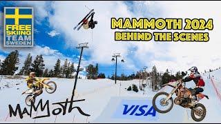 FREESKI SWE -  MAMMOTH 2024