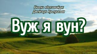 Вуж я вун? - Джейгьун Хуьлуьхъви (Лезги чIалал шиир)