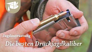 Drückjagdkaliber | Mit diesen Patronen seid ihr gut gerüstet | Bewegungsjagd | Munition | Jagd