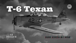 Fall Asleep Fast! Soothing T-6 Texan Plane in Steady Flight ⨀ Deep Sleep Sounds 