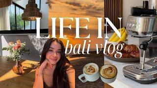 bali vlog 2024 | turning my villa into a cafe, shopping & infrared sauna spa