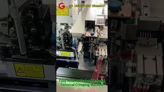 Fully Automatic Double-head Terminal Crimping Machine #wireprocessing #terminalcrimping#crimping