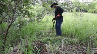 Scything Boundaries for a THRIVING Sheep Paddock