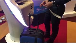Automated Check-in Kiosks in Changi Airport's T4