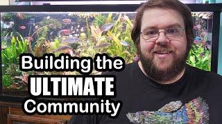 Building a Perfect Community Fish Tank: from Disaster to Pure Joy (90 Gallon aquarium Tour)