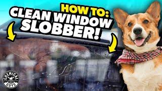 How to Get Dog Slobber and Off Your Car Interior, Leather Seats, Windows, and More