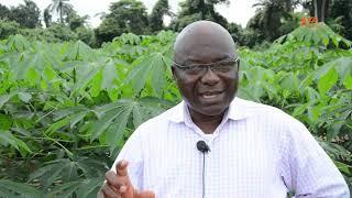 Introduction of Six Steps to Cassava Weed Management toolkit - Cassava Matters TV Episode 1