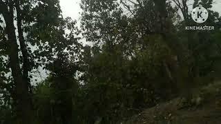cheldren boy lebarection armi garo vdeo Film 
