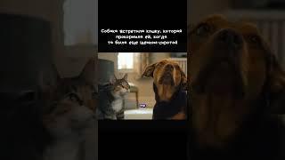 Мама навсегда останется мамой️