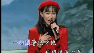 卓依婷 (Timi Zhuo) 情深路迢迢 (知道不知道) (高清DVD版)