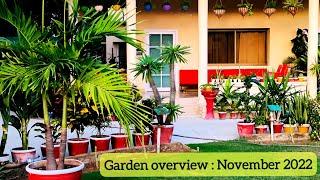 Garden overview of the month of November 2022 @Green Gardening