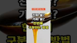 진짜 꿀? 가짜 꿀? 한번에 구분 방법 #생활꿀팁 #생활상식