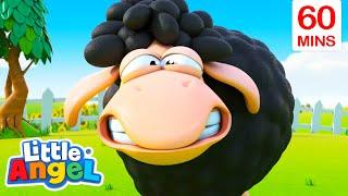 Baa Baa Black Sheep + 60 Minutes of Little Angel | Best Animal Videos | Kids Nursery Rhymes