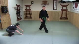 Ninjutsu Kihon Happo Flow Session - Ninja Training Free Video Blog - Bujinkan