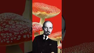 Люди — грибы? 
