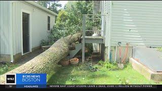 Mattapoisett community begins cleanup after tornado hits