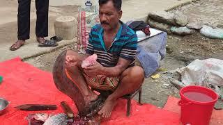 Amazing Giant Katla Fish Cutting Skills #fishcuting