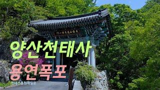 #천태사 & 용연폭포 가는길 2부/ #양산천태사 / 힐링