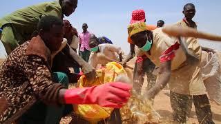 WFP ED David Beasley visits Food Assistance for Assets Project in the Sahel