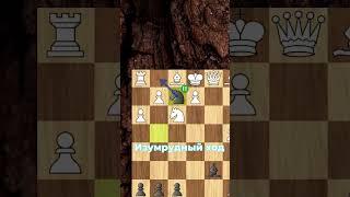 ПРЕКРАТИ на d4 ИГРАТЬ d5!!