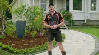 How to Create a Classic Low Maintenance Garden | Mitre 10 Easy As Garden