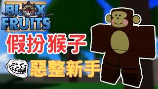 【Blox Fruit方塊水果】在遊戲中假扮猴子NPC!新手會有什麼反應？