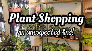 Unexpected Plant Shopping in Chattanooga, Tennessee!!  we stumbled upon The Secret Garden 