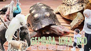 Gembira Loka Zoo Yogyakarta 2022