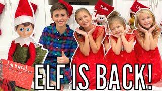 The ELF on the SHELF is Back!! | December 1st Traditions