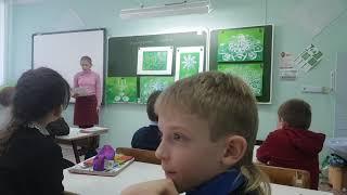 Эко города автор: Анна Дубинина
