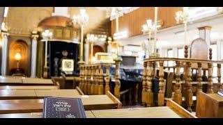 Adventures in American Judaism (Part 3) || Rabbi Dr. Zev Eleff