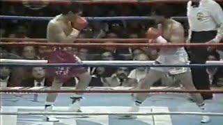 WOW!! WHAT A KNOCKOUT - Julio Cesar Chavez vs Alberto Cortes, Full HD Highlights