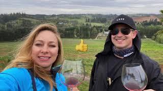 OREGON'S WILLAMETTE VALLEY WINE REGION  TOP WINERIES to VISIT