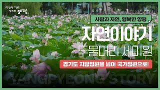 [양평군] 사람과자연,행복한양평 - "자연 이야기" (국가정원으로의 도약을 준비하는 두물머리 세미원)