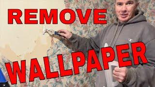 Best Way To Remove Wallpaper / No Chemicals !