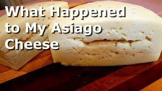 Homemade Asiago Cheese Taste Test