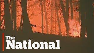 Central Portugal consumed by deadly forest fires