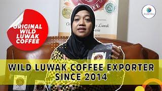 PT Lentera Internasional Jaya - Wild Luwak Coffee Exporter Since 2014