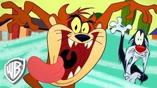 Looney Tunes en Français | Une défaillance en Tazmanie avec Taz | WB Kids