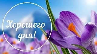 Хорошего дня! Доброго дня! Настроение День Пожелания