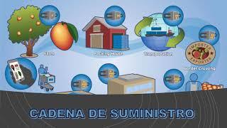 LOGÍSTICA Y CADENA DE SUMINISTROS