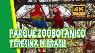 PARQUE ZOOBOTÂNICO DE TERESINA PIAUÍ BRASIL | TERESINA ZOO 4K