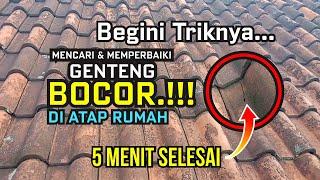 Cara Mencari dan Memperbaiki Titik Genteng yang Bocor atap Rumah