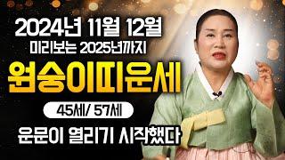 ⭐2024 하반기 원숭이띠운세⭐축하합니다! 지금부터 '대박' 원숭이띠운세/92년생, 80년생, 68년생, 56년생 원숭이띠운세